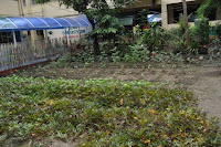 pinoyecofarm vermicomposting seminar _0083.JPG