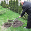 DSCF5320.JPG