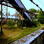 DSCF2645.JPG