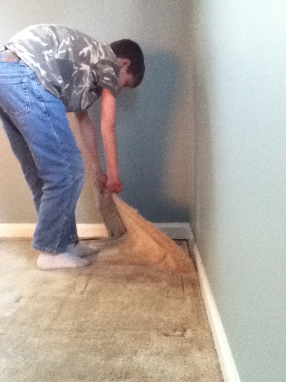 [IMG_0514%255B4%255D.jpg]