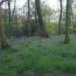 IMAG0066.jpg
