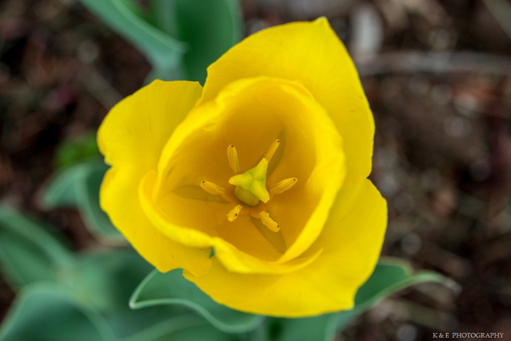 [Spring%25202013%2520%252846%2520of%252047%2529%255B3%255D.jpg]