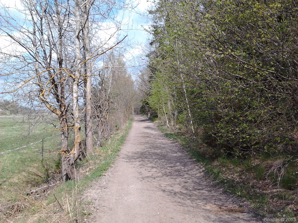 [2013-05-12%252011.32.57%255B5%255D.jpg]