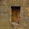 PzW.646 dsc04610.jpg