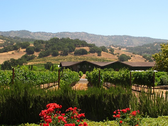 Napa View Napa View