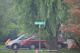 Rain Caused Flooding At Stonehouse & Francis Area (Photos by Meir Rothman) - DSC_0147.JPG