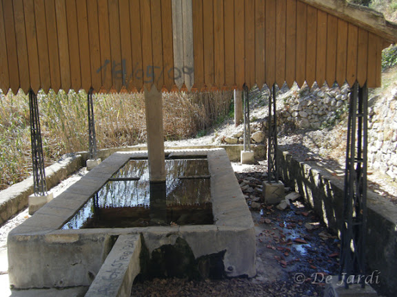 2012_03250139.jpg