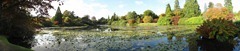 Sheffield Park lake