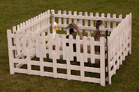 Kineton Quackers