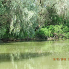IMG_7726.JPG