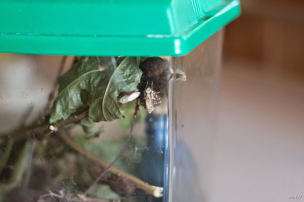 [IMG_8945%255B10%255D.jpg]