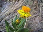 IMG_5118.JPG