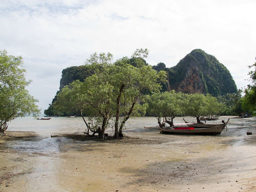Low tide