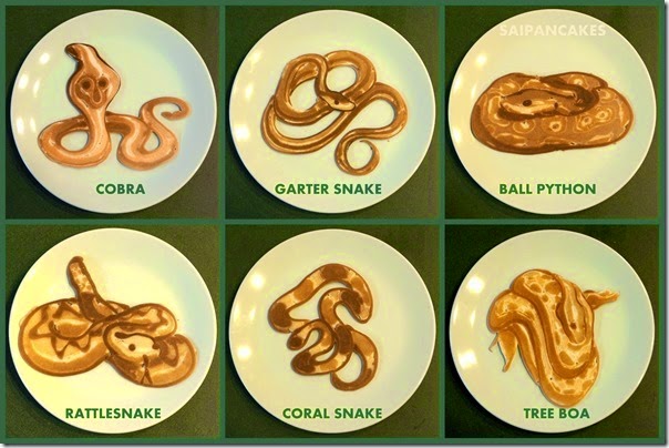 Snake pancakes