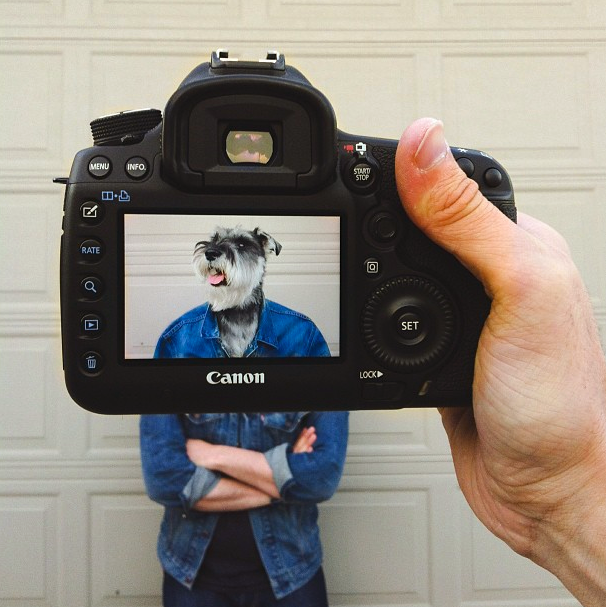 В одном лице с нашими питомцами (24 фото) | Картинка №16