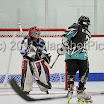 BIPNATS2011-12G20_0030.JPG