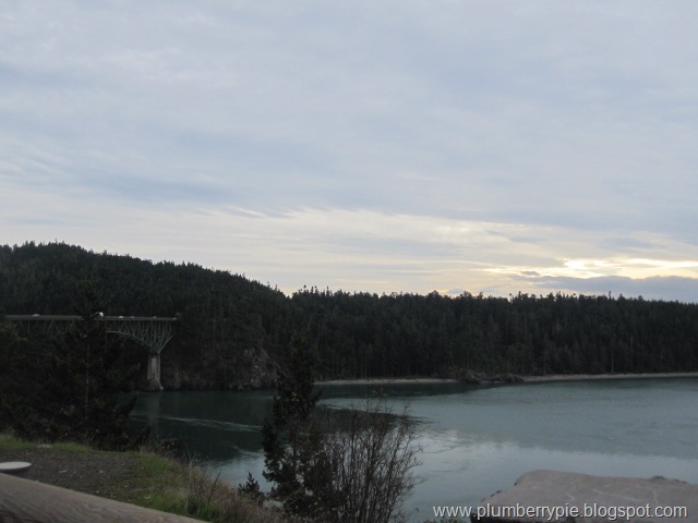 [IMG_45083.jpg]