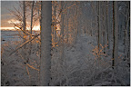 Teufelsmoor - Sonnenaufgang im November