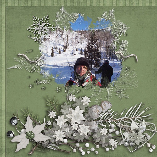[CSmith_WinterBliss600_35.jpg]