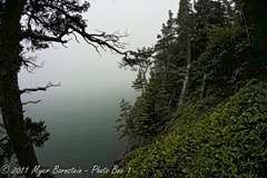 Quoddy Quody Head State Park Scenic fog 3_ROT9456-Edit NIKON D3S July 03, 2011