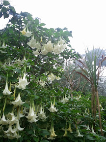 2011-04-13 14.44.20.jpg