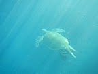 DSCN0269.JPG