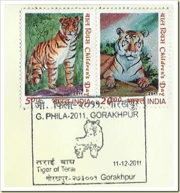 tiger 14 nov
