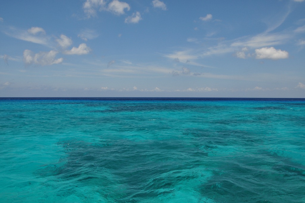 [DSC_4513%255B5%255D.jpg]