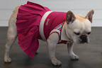 I don't know, Franny.  This pink tennis dress is cute, especially with the pleated skirt and silver accents, but I'm not sure it's really me!