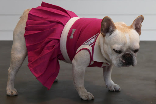 I don't know, Franny.  This pink tennis dress is cute, especially with the pleated skirt and silver accents, but I'm not sure it's really me!