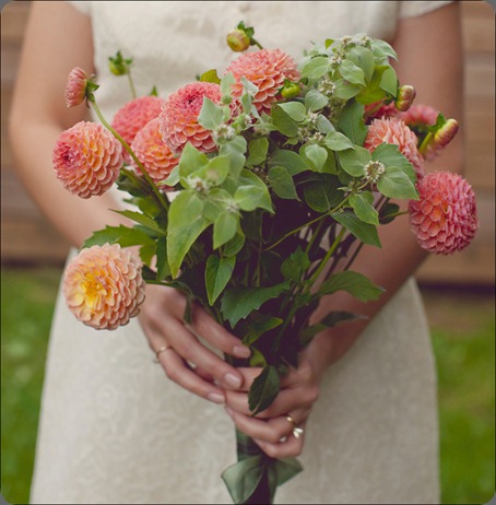 ACF554 our labor of love by heidi