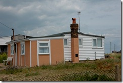 dungeness 029