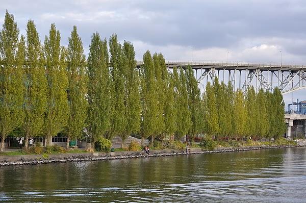 DSC_3539.JPG DSC_3539.JPG