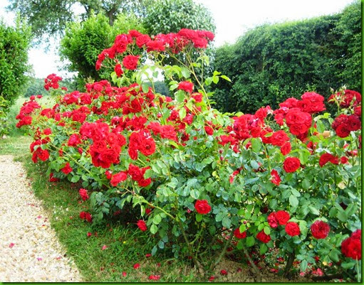 Rosa Lili Marleen Rosa Lili Marleen