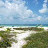 florida 063.jpg