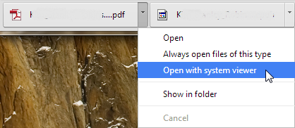 Chrome 33 PDF open with system viewer