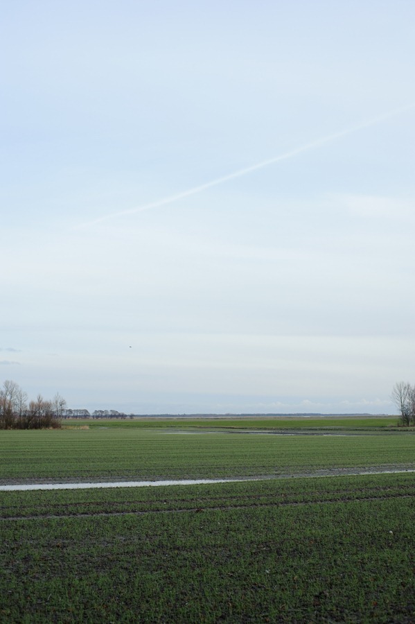 [DSC_7228%255B2%255D.jpg]
