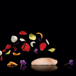 xl_modernist_cuisine_01-1.jpg