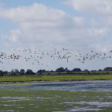 DSC02296.JPG