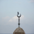 DSCF1140.JPG