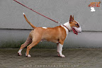 Karmacoma Fun-Da-Panda 7 months