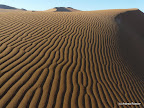Hidden Vlei