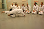 IMG_1565.jpg