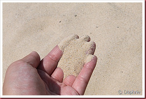 IMG_0475 IMG_0475