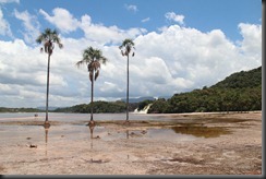 AF - Canaima wf with palms