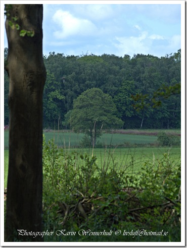 P1015394-001RC