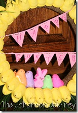 IMG_2153 IMG_2153