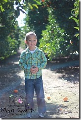 Talan web-2