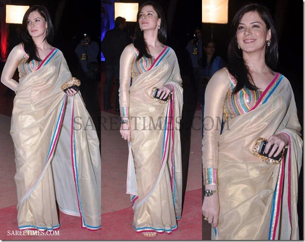 Zarine_Khan_Gorgeous_Saree