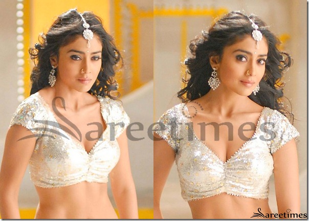 Shriya_Saran_Short_Sleeves_Saree_Blouse